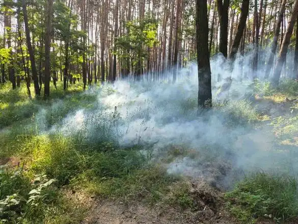 Обробка парку в Черкасах: мер запевнив у безпеці препаратів для людей і тварин